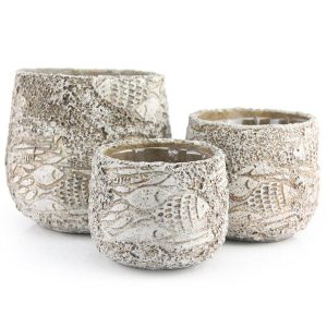 Fossil Ceramic Pot