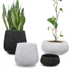 Modern Indoor/Outdoor Planter