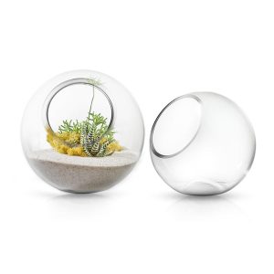 Glass Terrarium