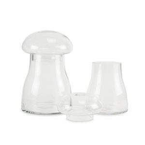 Mushroom Terrarium