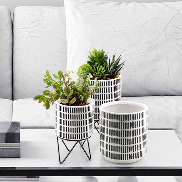 CeramicPlanterwithMetal_600x600.jpg