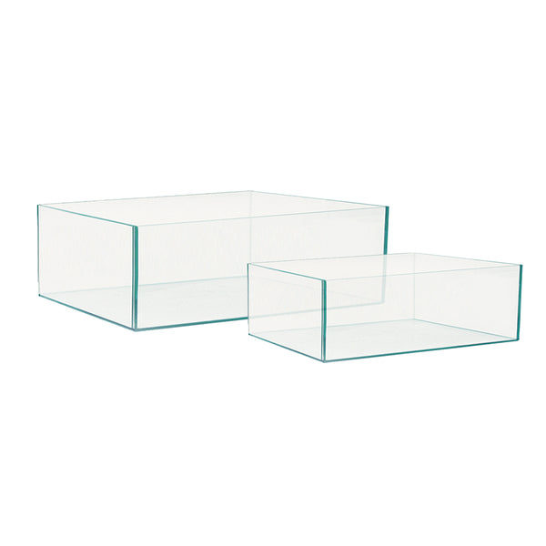 MirrorFloralAquariumSquares_600x600.jpg