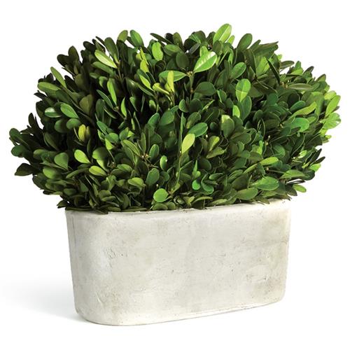 product_112562.jpg