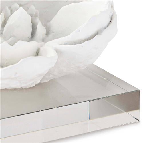 product_135351_2.jpg