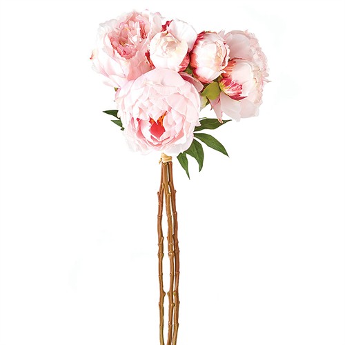 product_163107.jpg