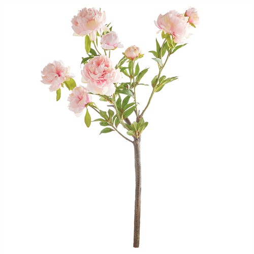 product_163143.jpg