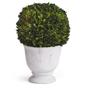 Landon French Country Green Boxwood Ball Potted Topiary - Large