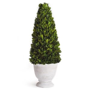 Asher French Country Green Boxwood Cone Potted Topiary