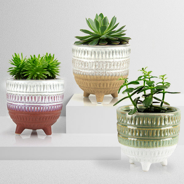 smallpot2_600x600.jpg