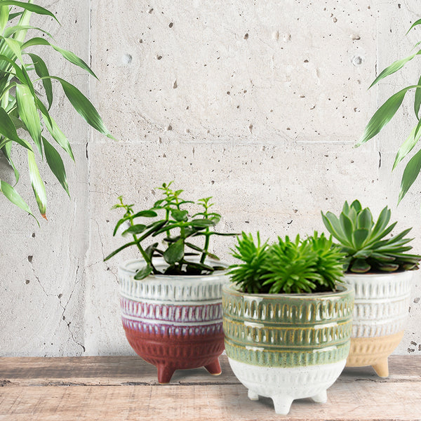 smallpot_600x600.jpg